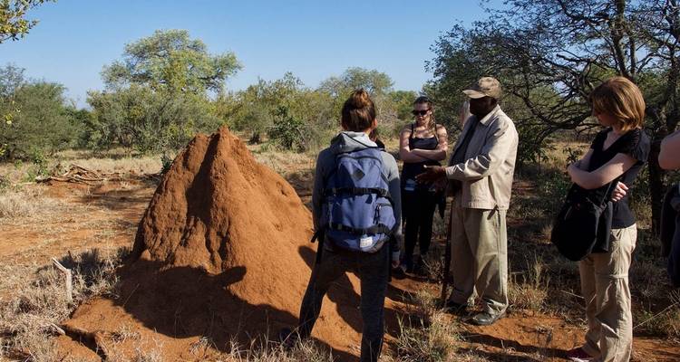 6 Day Classic Kruger Park Safari - Viva Safaris 2