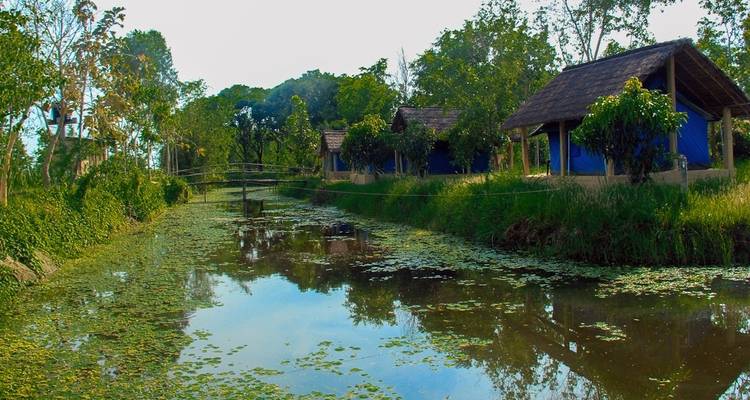 Visite de la faune de Koshi Tappu - Oriental Journeys Pvt. Ltd. 3