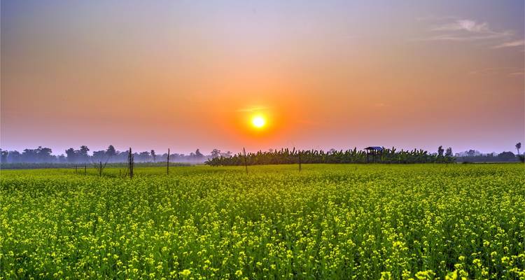 Koshi Tappu Wildlife Tour - Oriental Journeys Pvt. Ltd. 9
