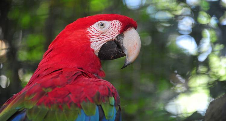 3 días Foz do Iguaçu clásico - Tangol Tours 8