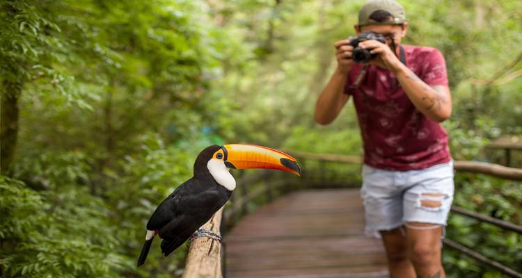 3 días Foz do Iguaçu clásico - Tangol Tours 9