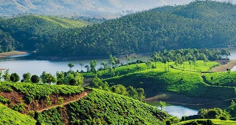 La splendeur de Munnar - Kerala Holiday Club 4