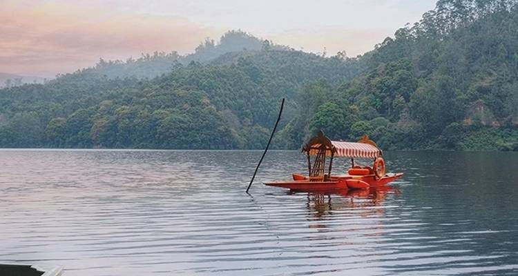 La splendeur de Munnar - Kerala Holiday Club 3