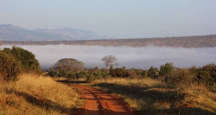 Safari de 3 jours à Tsavo Est et Ouest - Africa Vacation Safaris 9