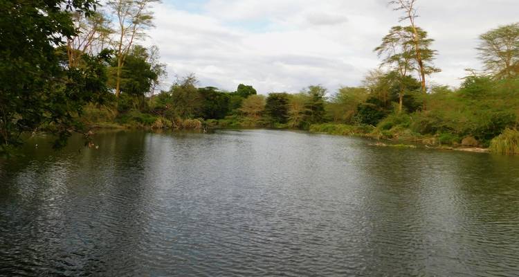 Safari de 3 jours à Tsavo Est et Ouest - Africa Vacation Safaris 3