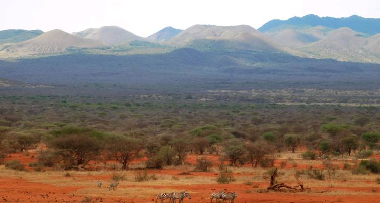 Safari de 3 jours à Tsavo Est et Ouest - Africa Vacation Safaris 1