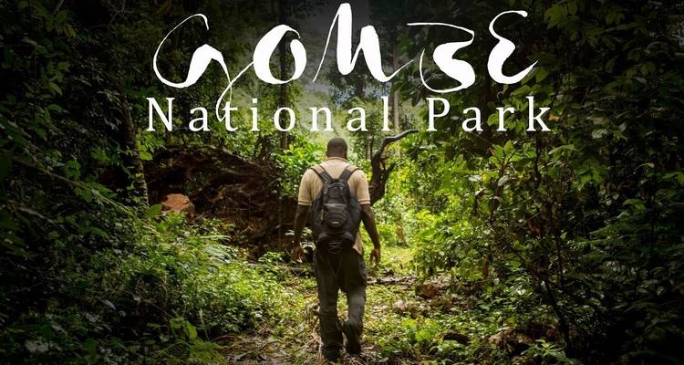 Person with a backpack walking in a forest with a Gombe National Park text overlay.