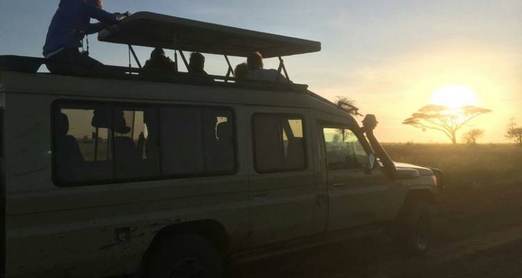 7 jours de safari en camping dans les parcs nationaux les plus visités d'Afrique - African Polecat Safaris 2