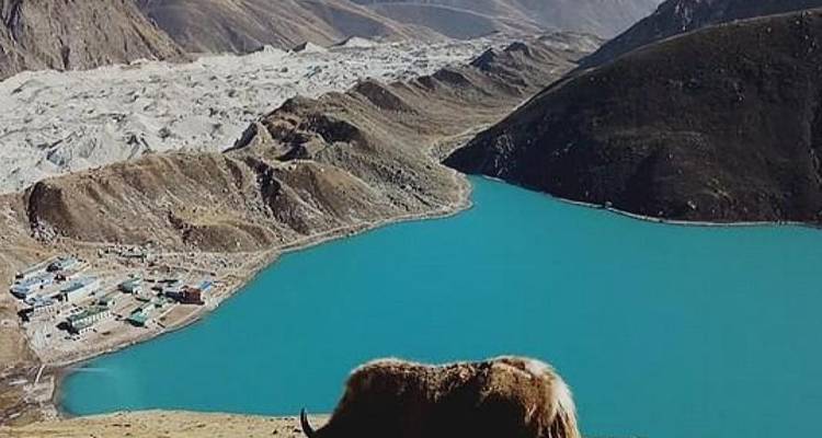 16 jours Trek des deux cols de l'Everest - Nepal Eco Adventure Pvt.Ltd 4