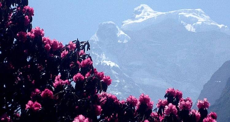 9 jours Everest Panorama Trek - Nepal Eco Adventure Pvt.Ltd 6