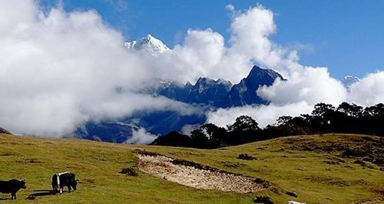 9 jours Everest Panorama Trek - Nepal Eco Adventure Pvt.Ltd 7