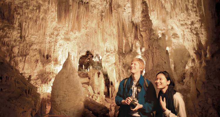 Excursion aux grottes de Waitomo et à Rotorua au départ d'Auckland - 2 jours - Thrifty Tours 4