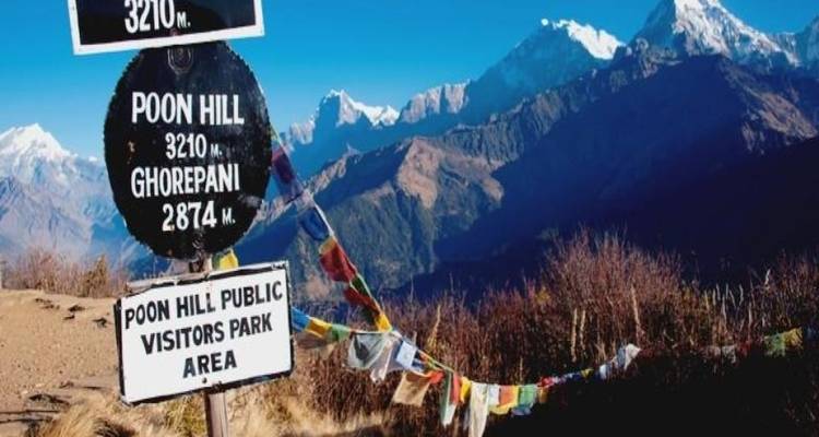 9 jours Annapurna Panorama Trek - Nepal Eco Adventure Pvt.Ltd 8