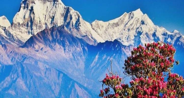 9 jours Annapurna Panorama Trek - Nepal Eco Adventure Pvt.Ltd 9