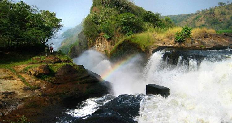 A breathtaking waterfall with a visible rainbow, surrounded by lush greenery.