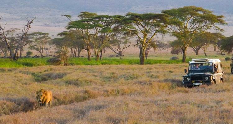 A safari jeep in a vast savannah, with a lion nearby and acacia trees in the background.