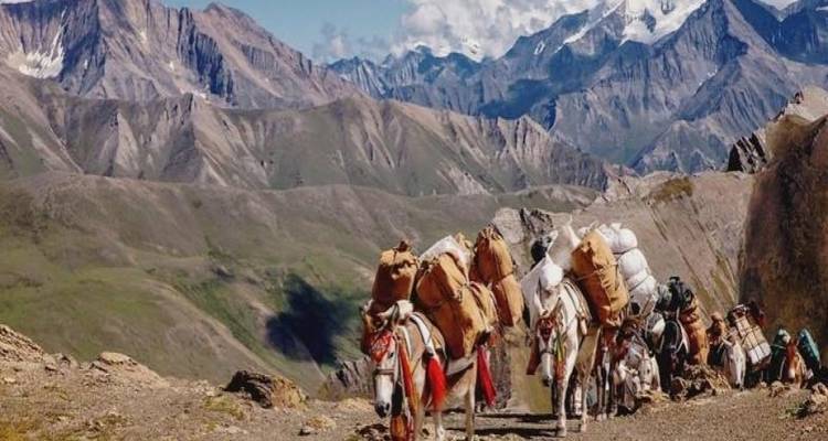 14 jours de Trek sur le circuit du Langtang - Nepal Eco Adventure Pvt.Ltd 8