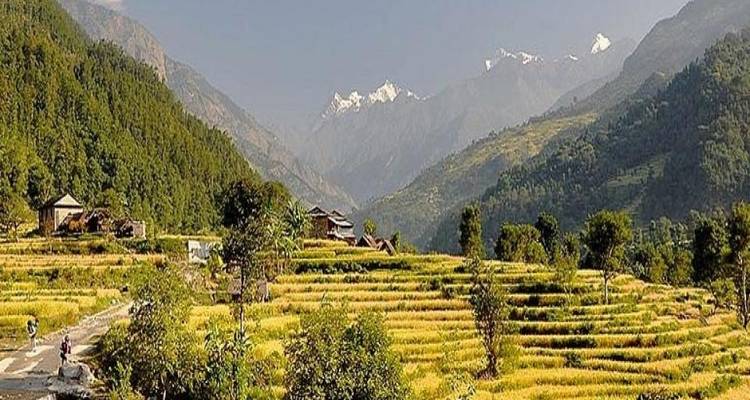 Excursionismo de 12 días por el circuito del Manaslu - Nepal Eco Adventure Pvt.Ltd 6