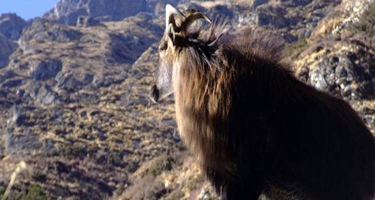 21 days Upper Dolpo Trek - Nepal Eco Adventure Pvt.Ltd 3