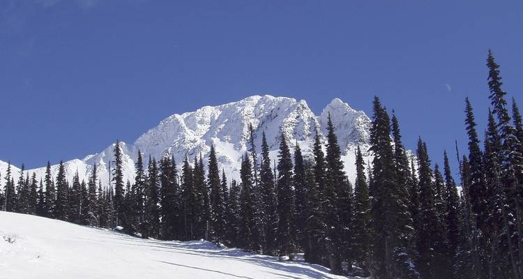 Montagnes et arbres enneigés sous un ciel dégagé.