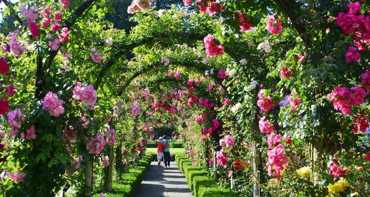 Arches colorées couvertes de fleurs dans un jardin avec des personnes en arrière-plan.