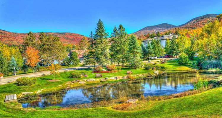 Vibrant autumn landscape with a pond and mountains in the background.