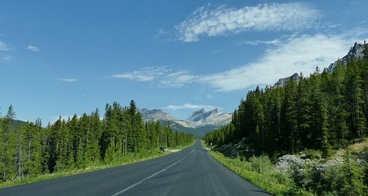 Straight highway stretches through dense evergreen forest toward distant rocky peaks under a clear blue sky.