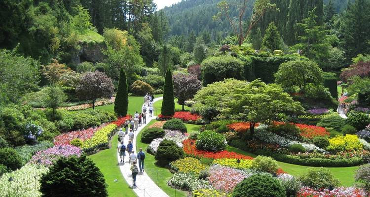Vibrant formal gardens with winding paths, tall cedars and clusters of visitors enjoying the blooms.