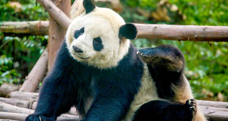 9 jours en petit groupe à Pékin, Xi'an et Lhassa, hôtels de qualité - Agate Travel 4