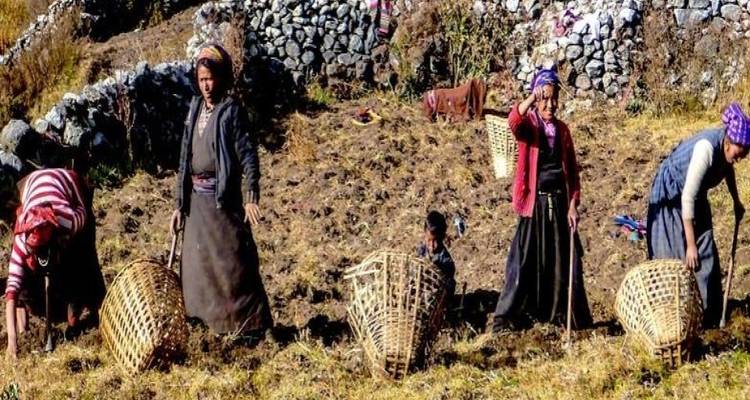 7 Days Tamang Heritage Trek - Nepal Eco Adventure Pvt.Ltd 2