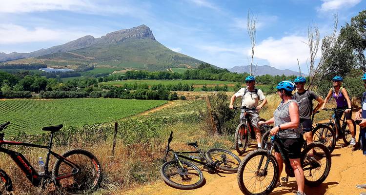 3 circuito en bici de Stellenbosch a Hermanus - Adventure Shop 7