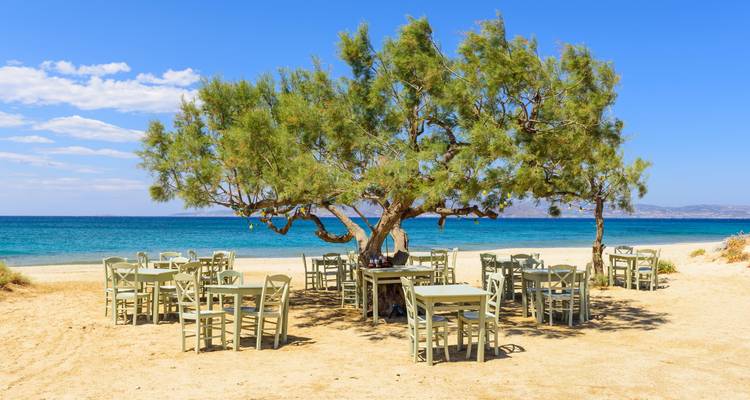 Área de comedor al aire libre con mesas bajo un árbol junto a la playa.
