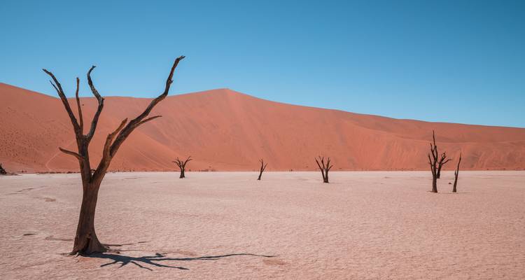 Aventure de 3 jours en camping à Sossusvlei - Discovery Transfers and Tours 9