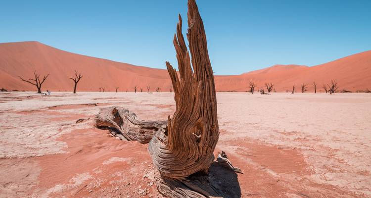 Aventure de 3 jours en camping à Sossusvlei - Discovery Transfers and Tours 10