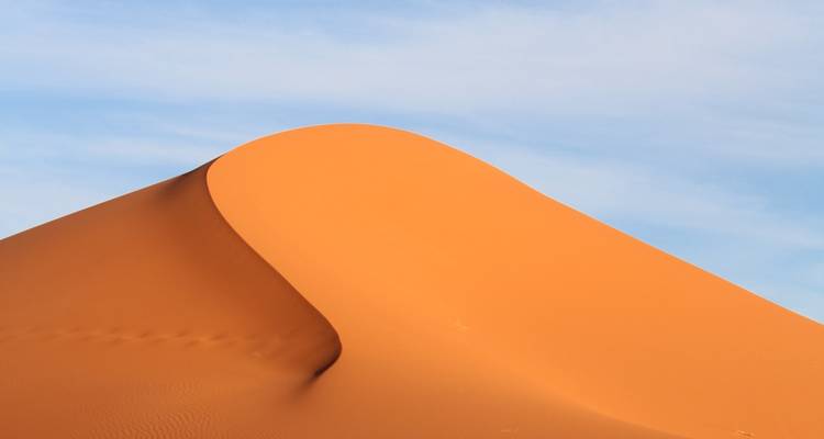 8 Day Private Tour from Tangier to Marrakech - Marrakech Tour 2