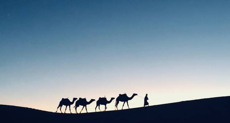 8 Day Private Tour from Tangier to Marrakech - Marrakech Tour 1