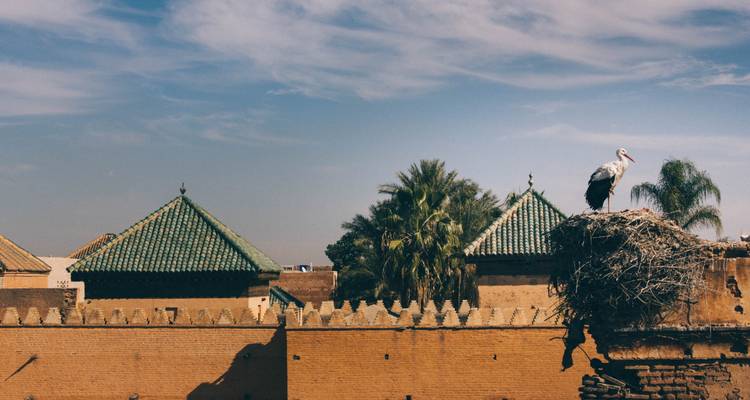 8 Day Private Tour from Tangier to Marrakech - Marrakech Tour 9