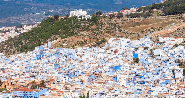 Vue d'ensemble d'une ville avec des bâtiments bleus et blancs sur une colline.