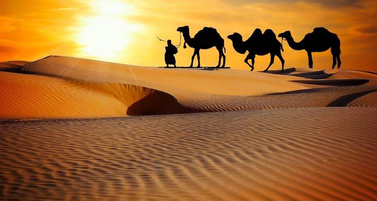 5-day Desert Tour – Sahara, Kasbahs & Canyons - Marrakech Tour 10