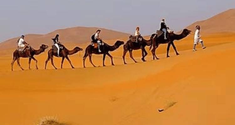 9 Day Private Tour from Casablanca through Chefchaouen, Fes, the Desert, & Marrakech - Marrakech Tour 3