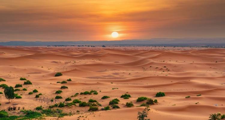3-Day Private Desert Tour from Fes to Marrakech - Marrakech Tour 4