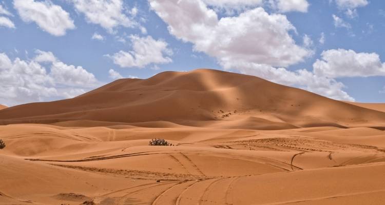 3-Day Private Desert Tour from Fes to Marrakech - Marrakech Tour 6