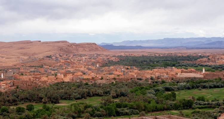 Vue panoramique d'un vaste paysage avec plaines désertiques et végétation.