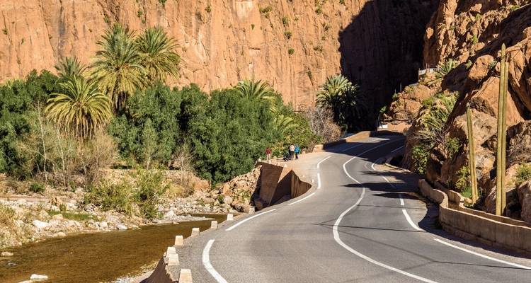 Route à travers un canyon avec des palmiers et de la végétation.