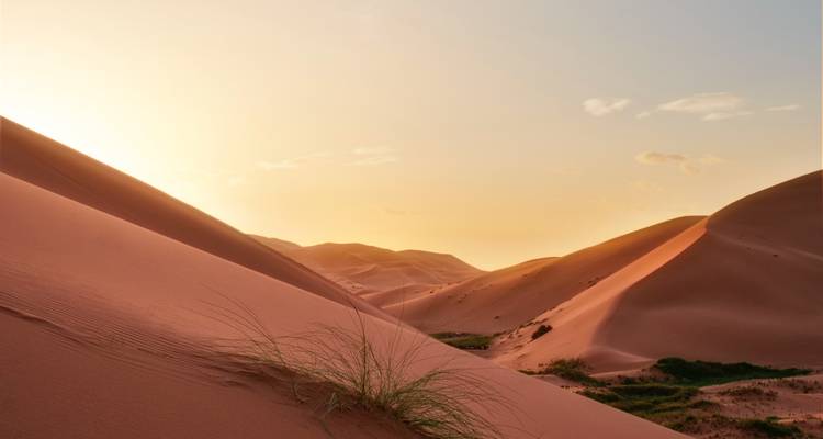 Circuito privado de 5 días de Agadir a Fez pasando por Marrakech y el desierto del Sáhara - Marrakech Tour 9