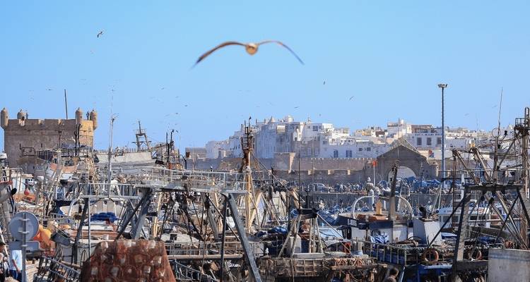 Haven met vissersboten en stad op de achtergrond