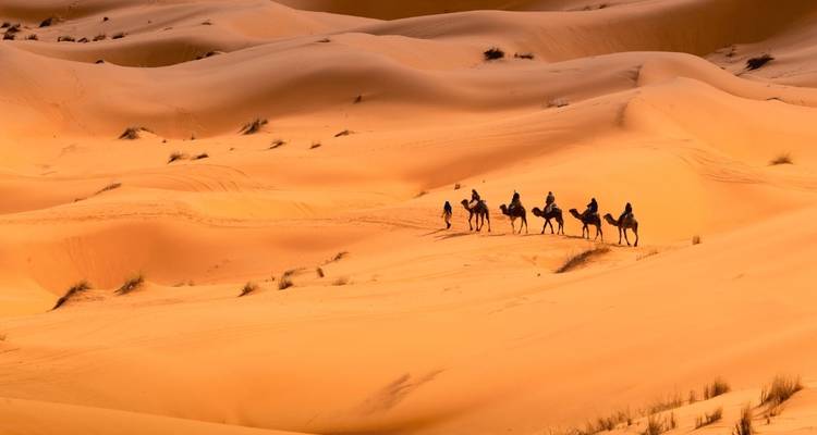 Dramatische Wüstendünen mit einer Kamelkarawane.