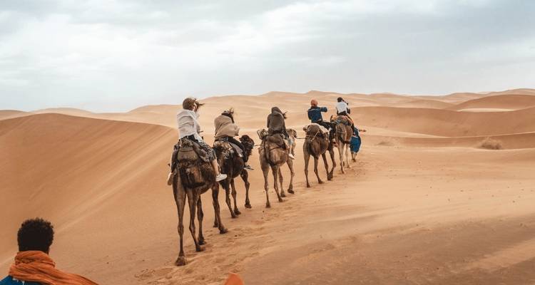 Kamelkarawane, die durch Wüstendünen reist.