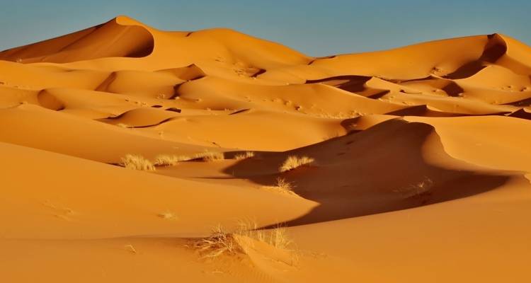 Goldene Wüstendünen unter einem klaren blauen Himmel.