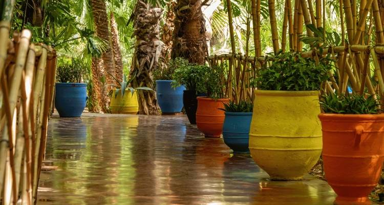 Ein Gehweg gesäumt mit bunten Töpfen und Bäumen, der eine lebendige und ruhige Atmosphäre schafft.